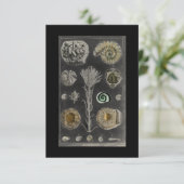 Fossil, Dinosaurier, Fossilien, Paläontologie, Geo RSVP Karte (Stehend Vorderseite)