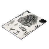 Fossil, Dinosaurier, Paläontologie, Fossilien, Sch Notizblock (Linke Seite)