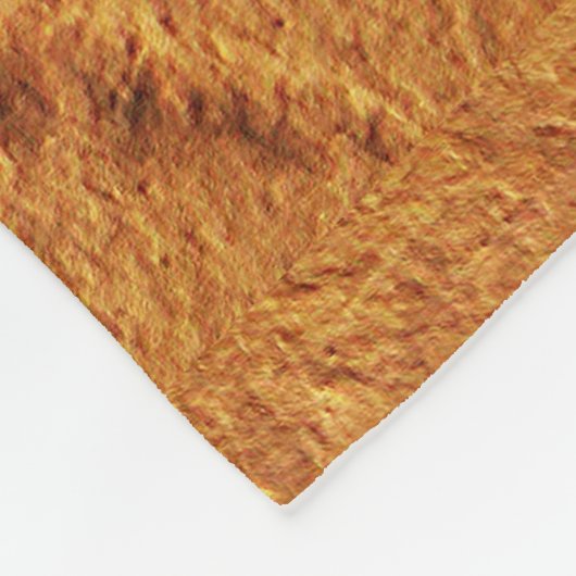 Fossil Dragonfly Fleecedecke (Ecke)