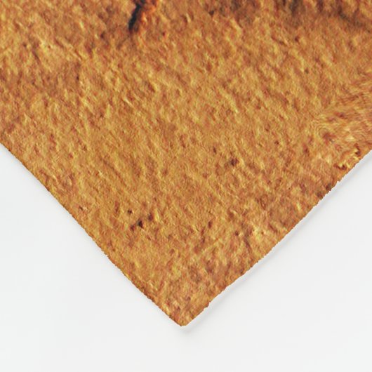 Fossil Dragonfly Fleecedecke (Ecke)