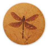 Fossil Dragonfly Keramikknauf (Vorderseite)