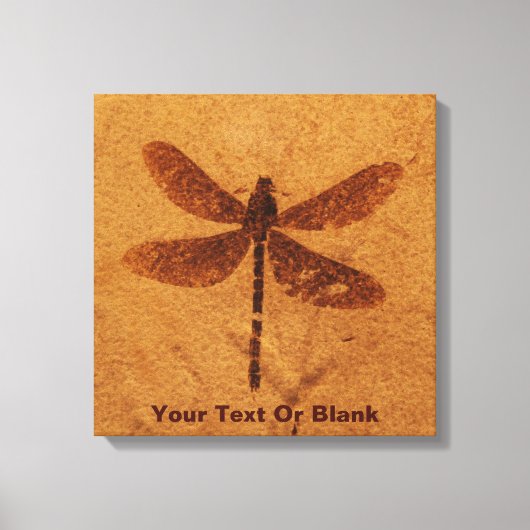 Fossil Dragonfly Leinwanddruck (Vorderseite)