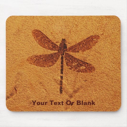 Fossil Dragonfly Mousepad (Vorne)
