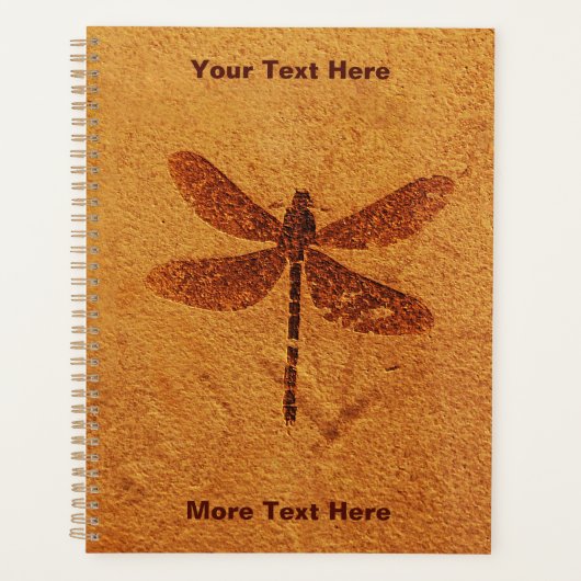 Fossil Dragonfly Planer (Vorderseite)