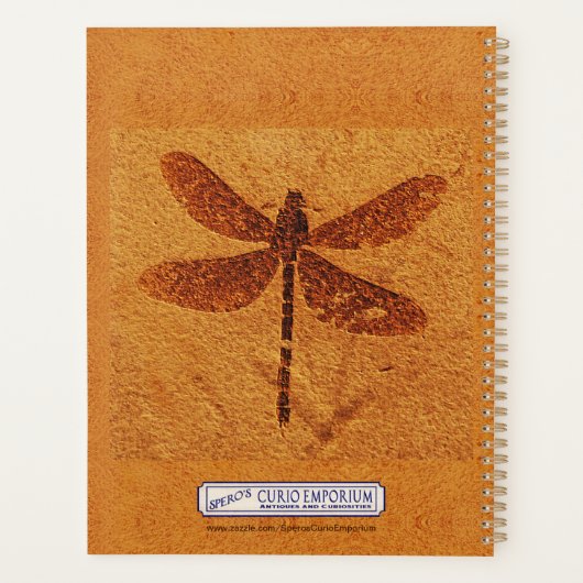 Fossil Dragonfly Planer (Rückseite)