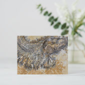 Fossil Fish Postkarte (Stehend Vorderseite)