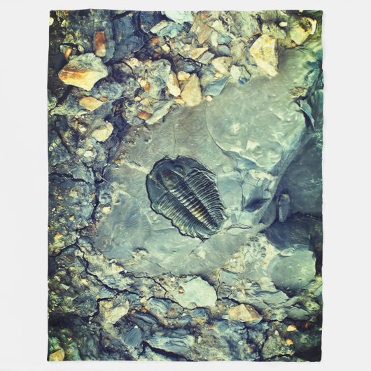 Fossil Fleecedecke (Vorderseite)