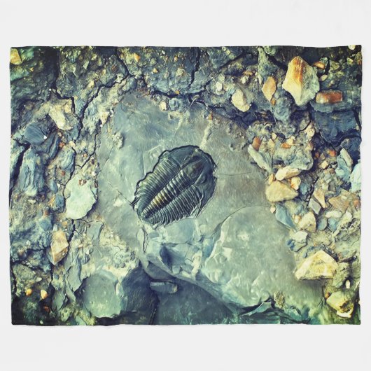 Fossil Fleecedecke (Vorderseite (Horizontal))