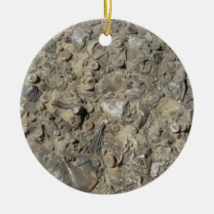 Fossil Hash Print Keramikornament