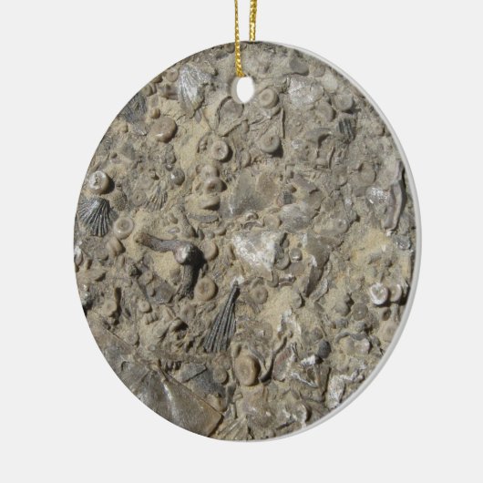 Fossil Hash Rock Print Keramikornament (Links)