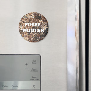 Fossil Hunter Turritella Agate Image Magnet