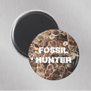Fossil Hunter Turritella Agate Image Magnet