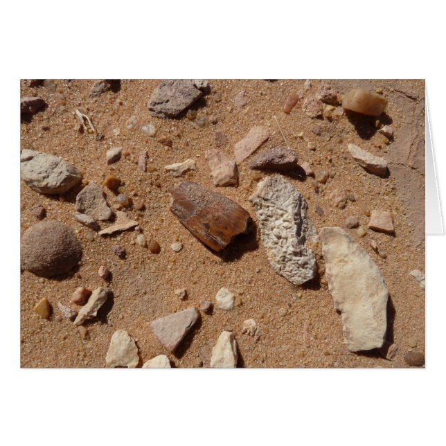 Fossil im Nachtisch (Vorderseite (Horizontal))