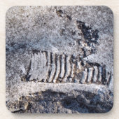 Fossil Nautiloid Cephalopod Ancient Sea Mollusk Getränkeuntersetzer (Vorderseite)