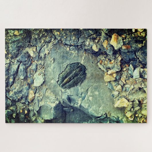Fossil Puzzle (Horizontal)