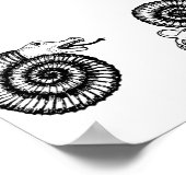 Fossil: Snakestone oder Ammonit? Poster (Ecke)