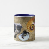 Fossil Tasse (Zentrum)