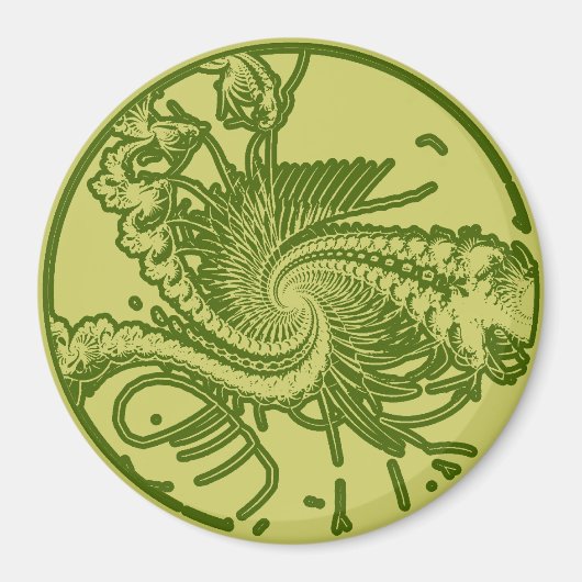 Fossil ver. 4 magnet (Vorne)