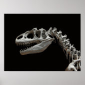 Fossile Allosaurus Kopf und Hals Poster (Vorne)