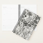 Fossile Korallengeologie Mineralien Polypi Planer (Anzeige)