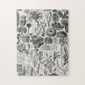 Fossile Korallengeologie Mineralien Polypi Puzzle (Vertikal)