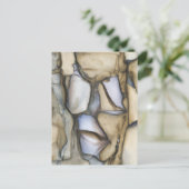 Fossile Kunst - Cooles Rockmuster Postkarte (Stehend Vorderseite)