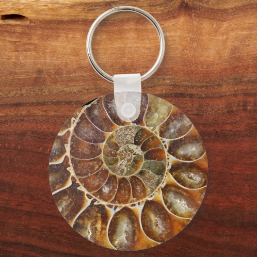 Fossile Muschel Schlüsselanhänger (Vorderseite)