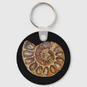 Fossile Muschel Schlüsselanhänger (Vorderseite)