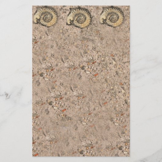 Fossile Stationierung Briefpapier (Vorderseite)