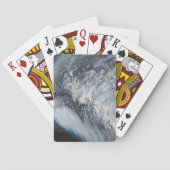 Fossile Trilobite Spielkarten (Rückseite)