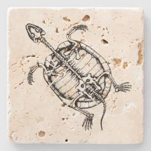 Fossile Turtle Steinuntersetzer