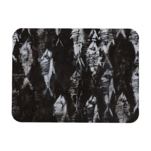 Fossile weiße Fische im schwarzen Hintergrund Magnet