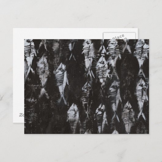Fossile weiße Fische im schwarzen Hintergrund Postkarte (Vorne/Hinten)
