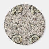 fossiler Hintergrund Magnet (Vorne)