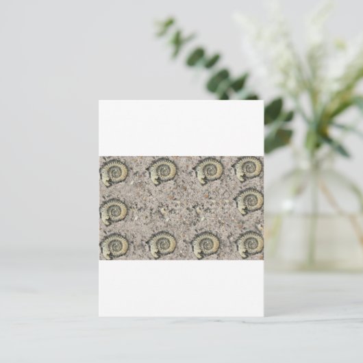 fossiler Hintergrund Postkarte (Stehend Vorderseite)