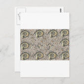 fossiler Hintergrund Postkarte (Vorne/Hinten)