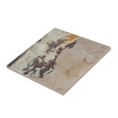 Fossilien aus Fossilien, oder interessante Gestein Fliese (Seite)