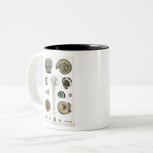 Fossilien, Dinosaurier, Fossilien, Paläontologie, Zweifarbige Tasse (Vorderseite Links)