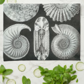 Fossilien Ernst Haeckels Ammonitida Küchentuch (Gefaltet)