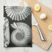 Fossilien Ernst Haeckels Ammonitida Küchentuch (Viertel Falte)