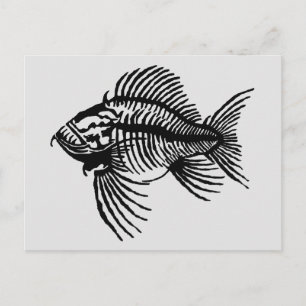 Fossilien-Fisch-Postkarte Postkarte