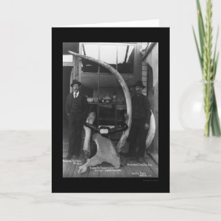 Fossilien gefunden in Yukon-Territorium 1888 Karte