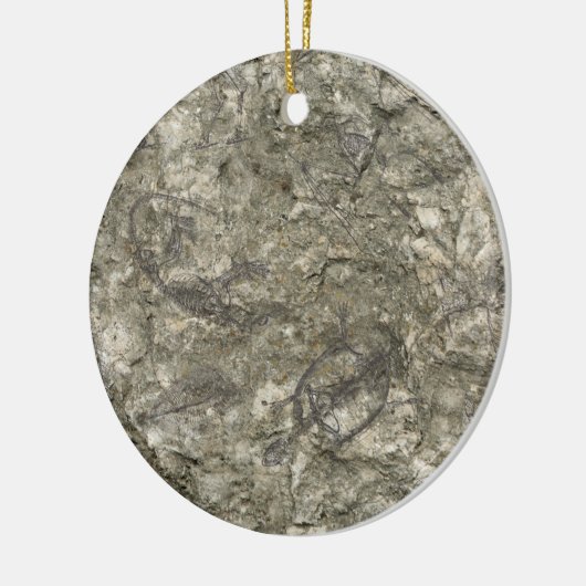 Fossilien Keramik Ornament (Links)