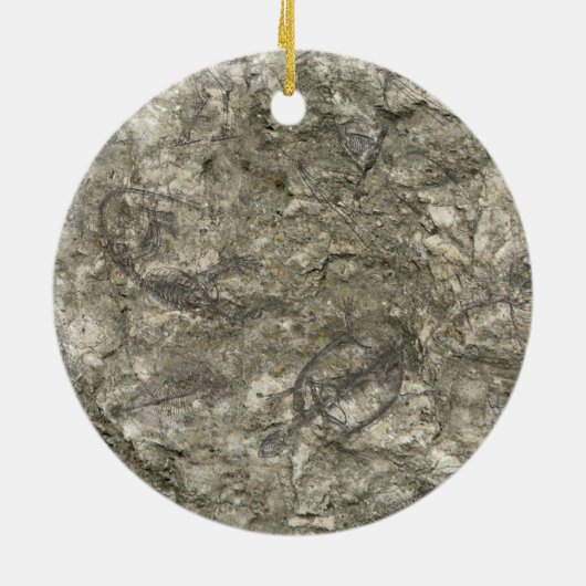 Fossilien Keramik Ornament (Hinten)