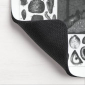 FOSSILIEN MOUSEPAD (Ecke)
