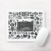 FOSSILIEN MOUSEPAD (Mit Mouse)