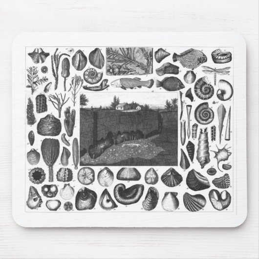 FOSSILIEN MOUSEPAD (Vorne)