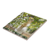 Fossilienmuseum Monte San Giorgio Fliese (Seite)