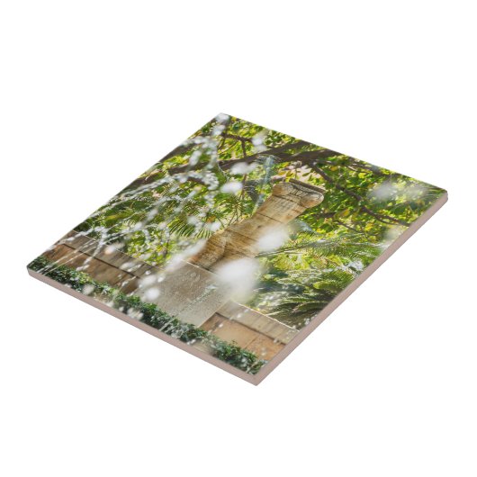 Fossilienmuseum Monte San Giorgio Fliese (Seite)