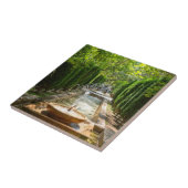 Fossilienmuseum Monte San Giorgio Fliese (Seite)